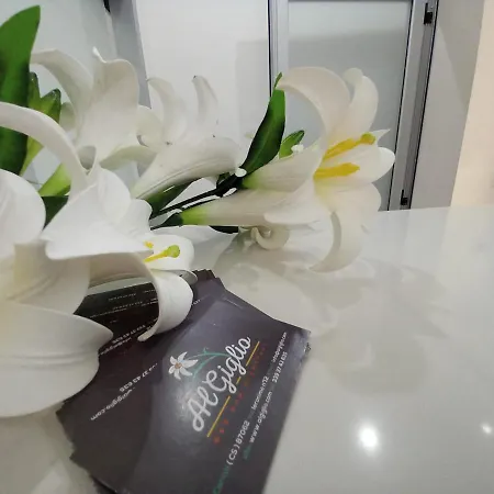 Al Giglio - 4* كارياتي