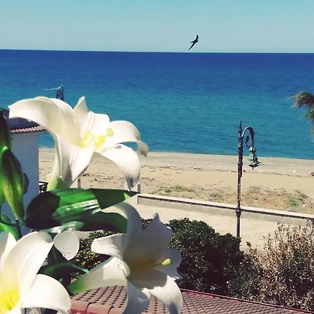 Guest house Al Giglio - *